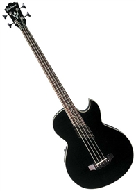 Washburn AB10BK Thinbody Acoustic Bass Guitar - Black w/ Gig Bag