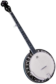 Washburn B14K 5-String Bluegrass Banjo Mahogany Resonator w/ Hard Case