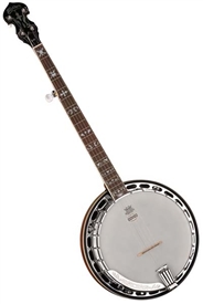 Washburn B16K 5-String Bluegrass Banjo Flamed Maple Resonator w/ Hard Case