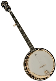 Washburn B17K 5-String Carved Bluegrass Banjo w/ Hard Case
