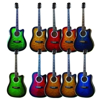 Indiana IDC Cutaway Acoustic/Electric Guitar - Quilt or Flame Top - 5 Colors!