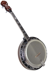 Gold Tone IT-250F 4 String Irish Tenor Banjo w/ Tone Ring & Resonator w/ Case