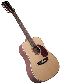 Johnson Songwriter Series JD-06-12 12 String Acoustic Guitar