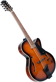 Gold Tone Mandocello Folkternative Guitar-Style A/E Mandolin Cello with Hard Case
