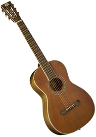 Washburn R319SWKK All-Solid Parlor Acoustic Guitar Vintage Matte w/ Case - Trembesi