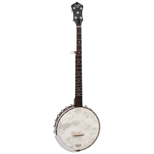 Recording King RK-OT26-BR "Madison" Open Back 5-String Banjo with Whyte Laydie Tone Ring