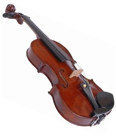 Erwin Otto 1240RA Violin Outfit with Pernambuco Bow,Case,Stand,Care Kit Made in Romania