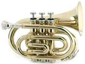 RS Berkeley PT622 Elite Series Vintage Matte Pocket Trumpet w Mouthpiece, Case, Care Kit