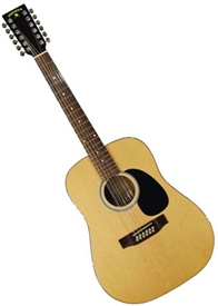 Indiana Scout-12 Full Size Spruce Top Twelve String Acoustic Guitar