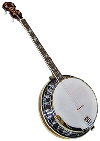 Gold Tone TS-250 Banjo Tenor Special 4 String Banjo